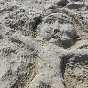 Meet your Posher, Bill